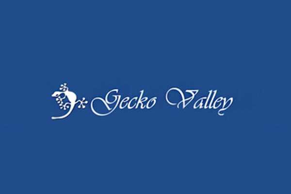 Gecko Valley Logo