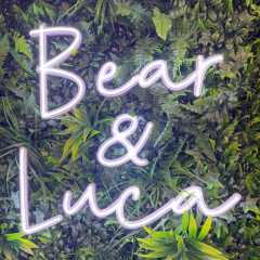 The Bear & Luca cafe