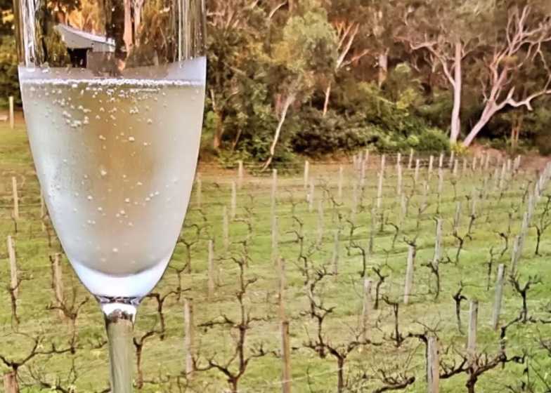 Sunset & Vine Restaurant and Cellar Door - Bobs Farm