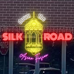 Down the Silk Road Logo